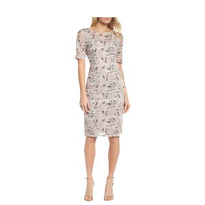Adrianna Papell Suzette embroidered sheath dress NWT $160 sz 12 lace